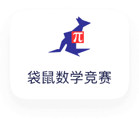 袋鼠国际竞赛