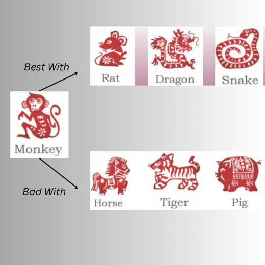 Year of Monkey Chinese Zodiac [2024 Full Guide]